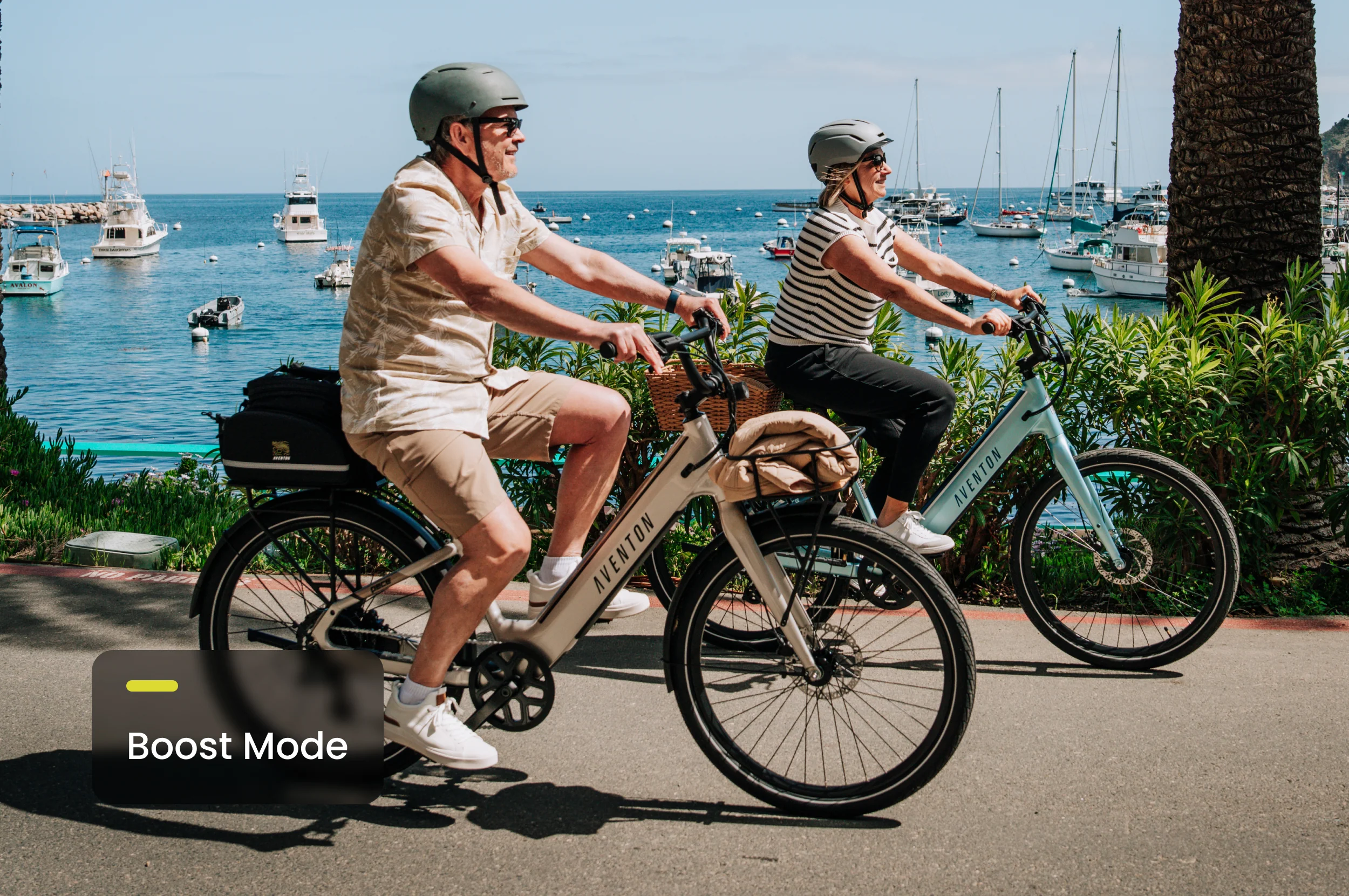 Pace 4 Step-Through Ebike (Free Rack and Fender) - Image 12